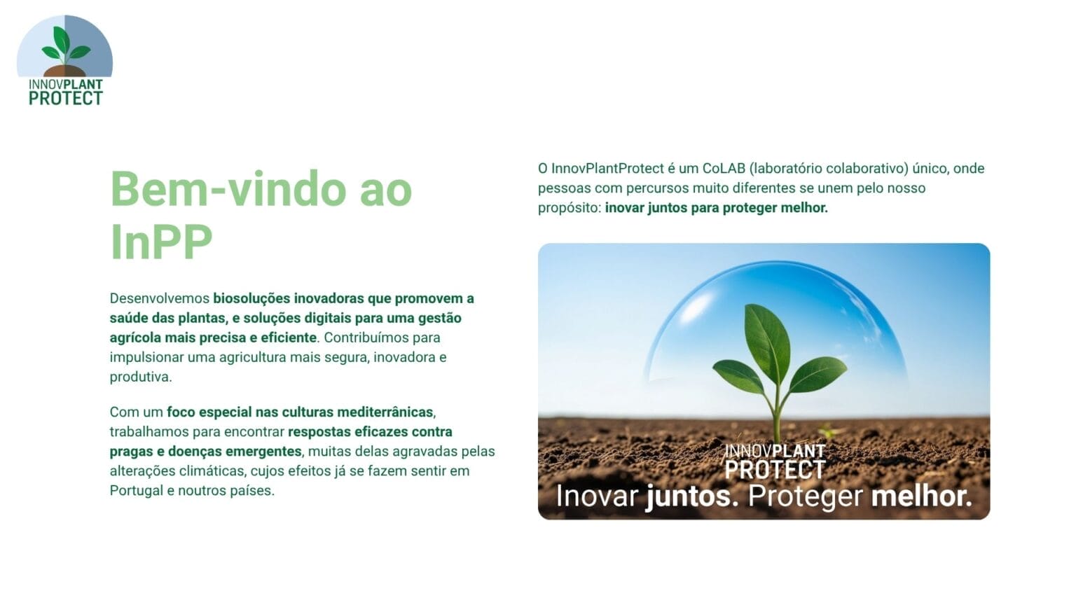 Preview Catalog