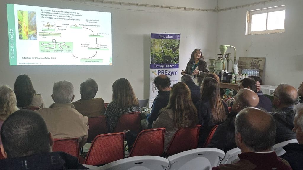 WhatsApp Image 2026 03 06 at 14.28.18